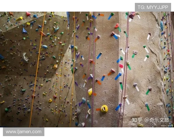 南京攀岩队技术揭秘：挑战极限的勇气与智慧之旅