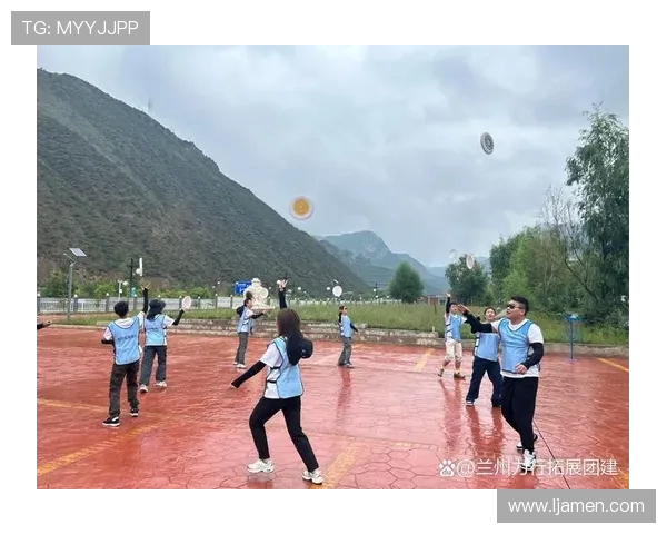 成都飞盘队团队协作表现的数据分析与提升策略探讨