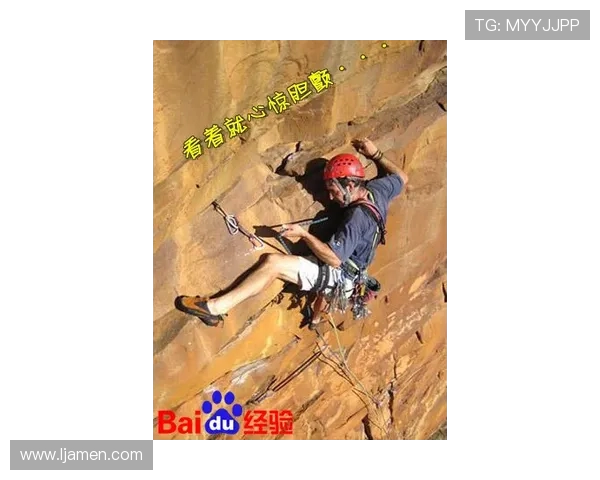 攀岩之巅：深入探索上海攀岩队的速度与激情