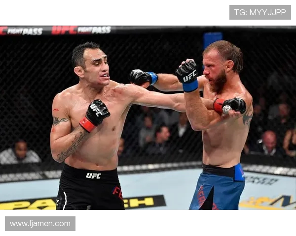 UFC巴埃萨对决精彩回顾与未来战斗展望分析